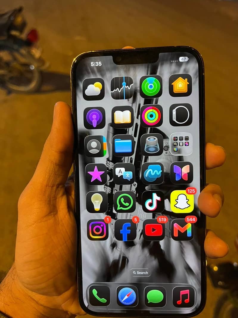 Apple iPhone 13 Pro Max 1