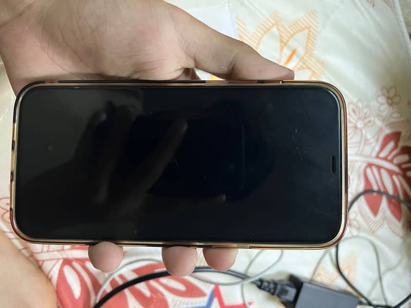 Apple iPhone 12 Pro Max 0