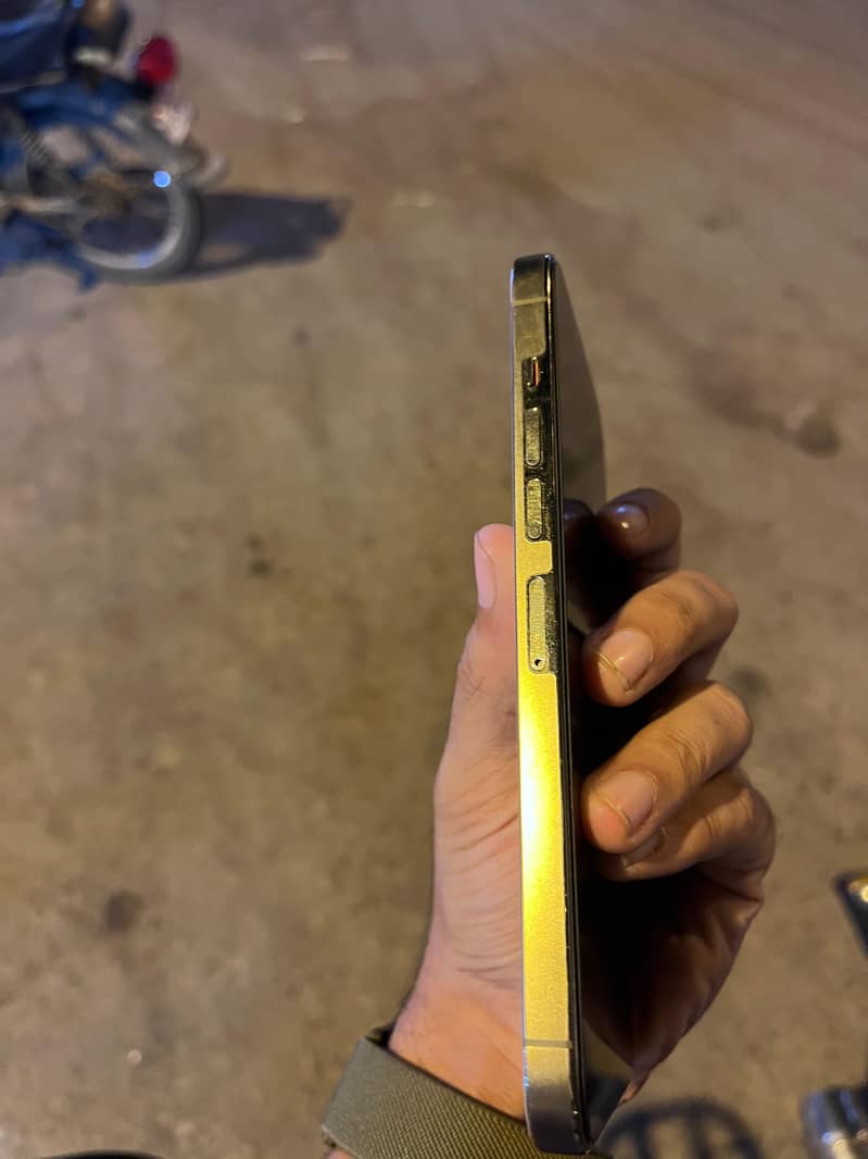 Apple iPhone 13 Pro Max 2