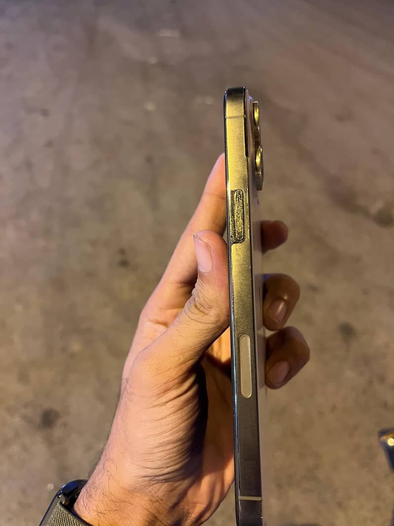 Apple iPhone 13 Pro Max 8