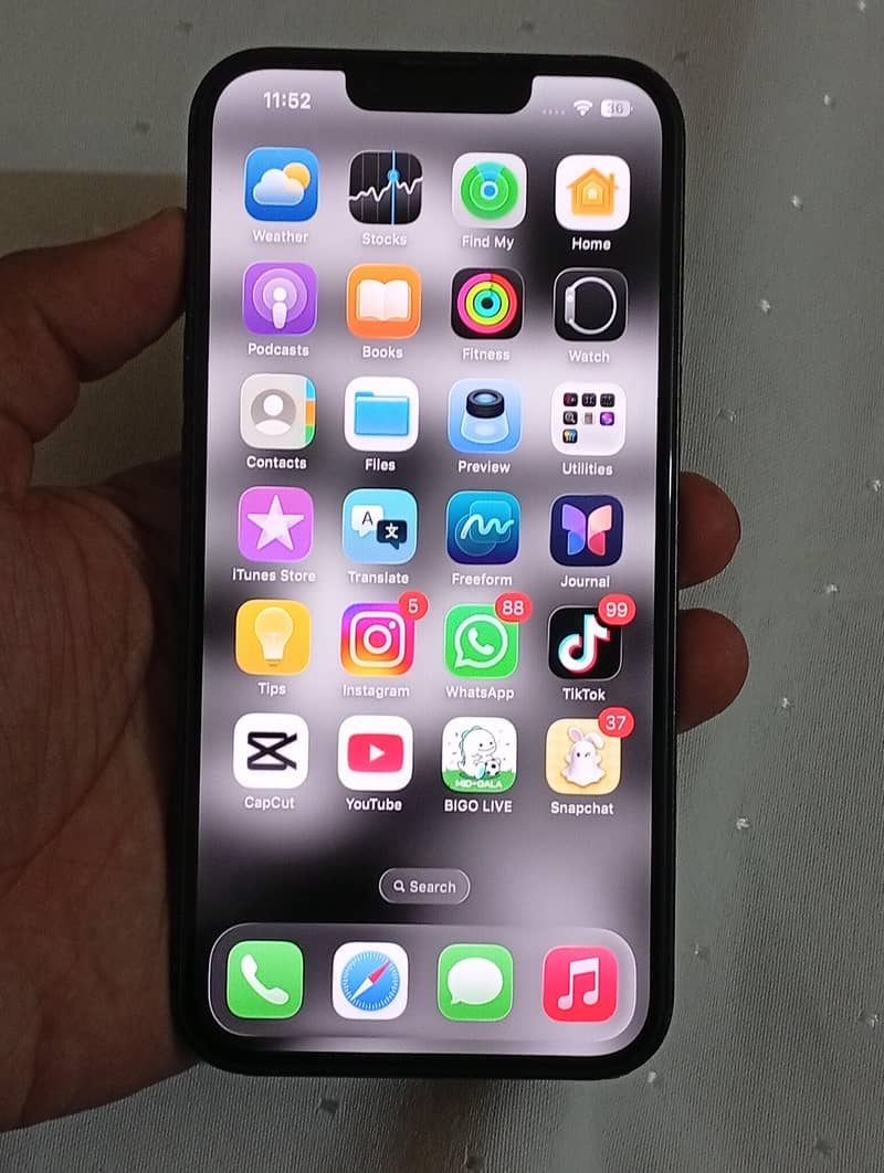 Apple iPhone 13 0