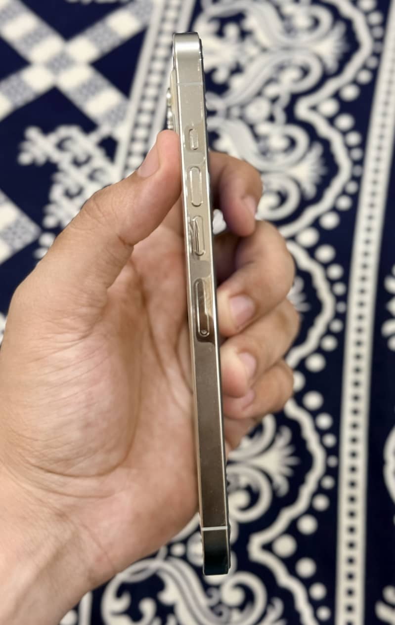Apple iPhone 13 Pro Max 1
