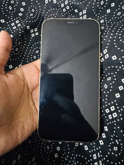 Apple iPhone 12 Pro