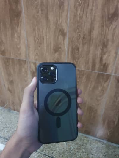 12 pro max