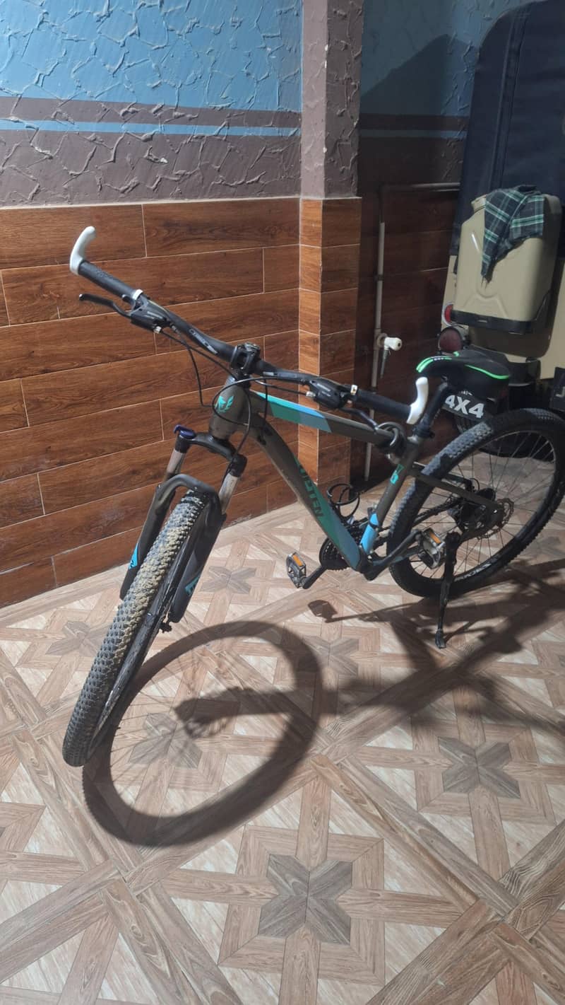 mountain cycle 3