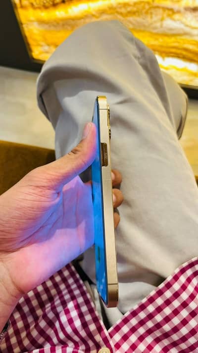 Apple iPhone 12 Pro Max