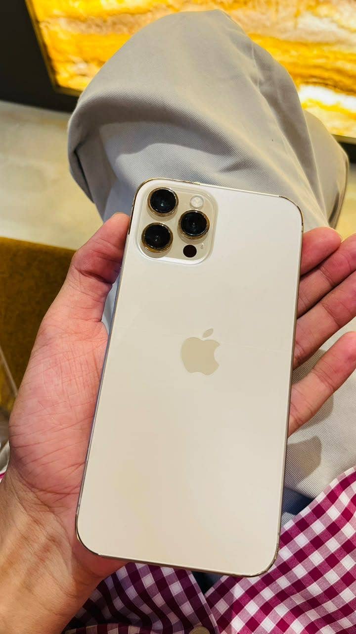 Apple iPhone 12 Pro Max 1