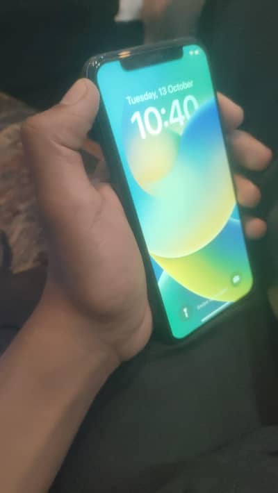 Apple iPhone X