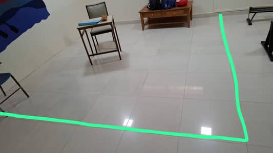 FEMALE MAID FOR CLEANING
