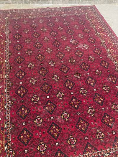 Traditional Red Bokhara Hand-Knotted Wool Rug / Carpet for sale.