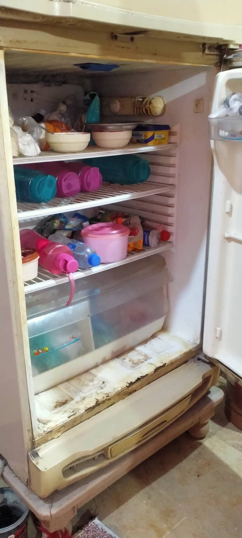 Pel Refrigerator 4