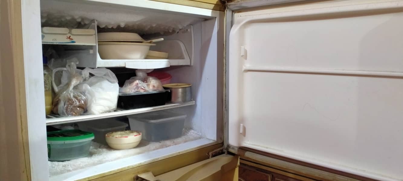 Pel Refrigerator 5