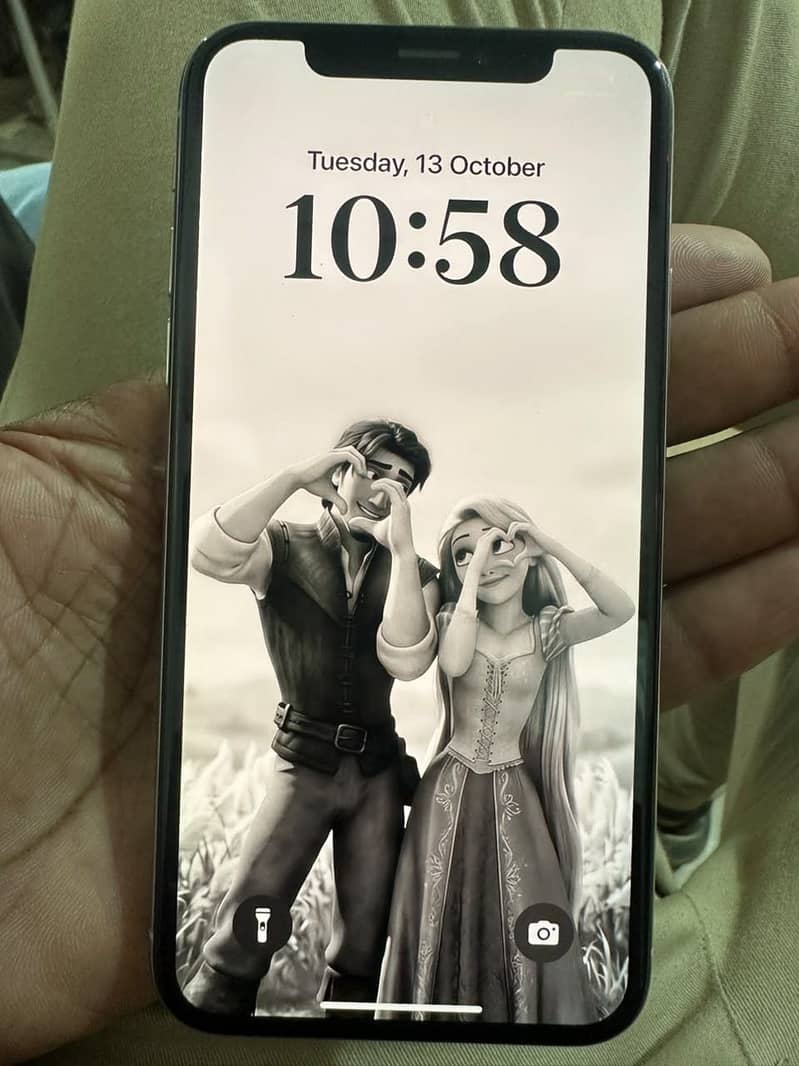 Apple iPhone XS water packed 2