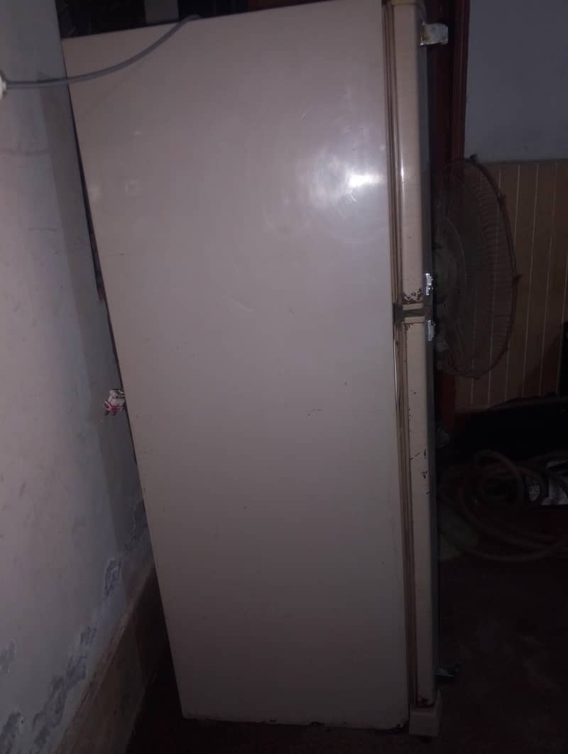 Frige 1