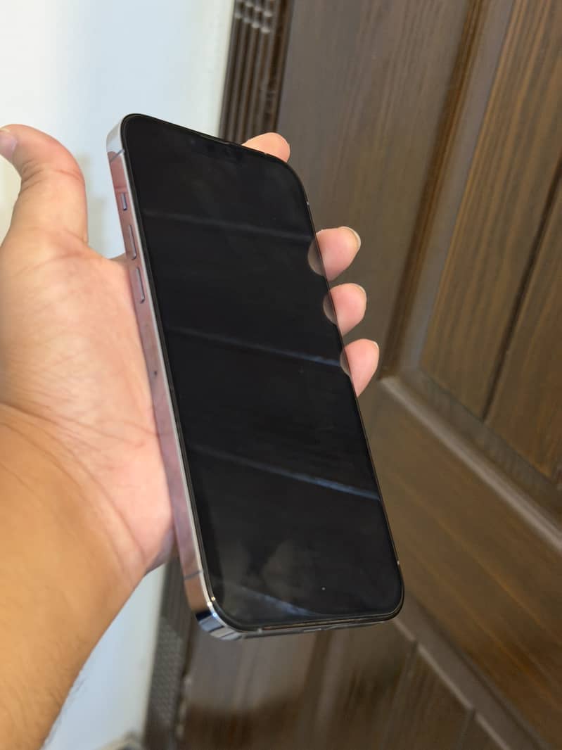 Apple iPhone 13 Pro Max 2
