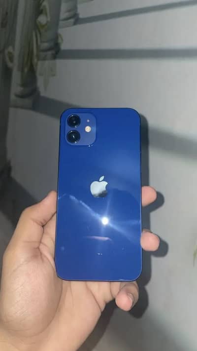 Apple iPhone 12