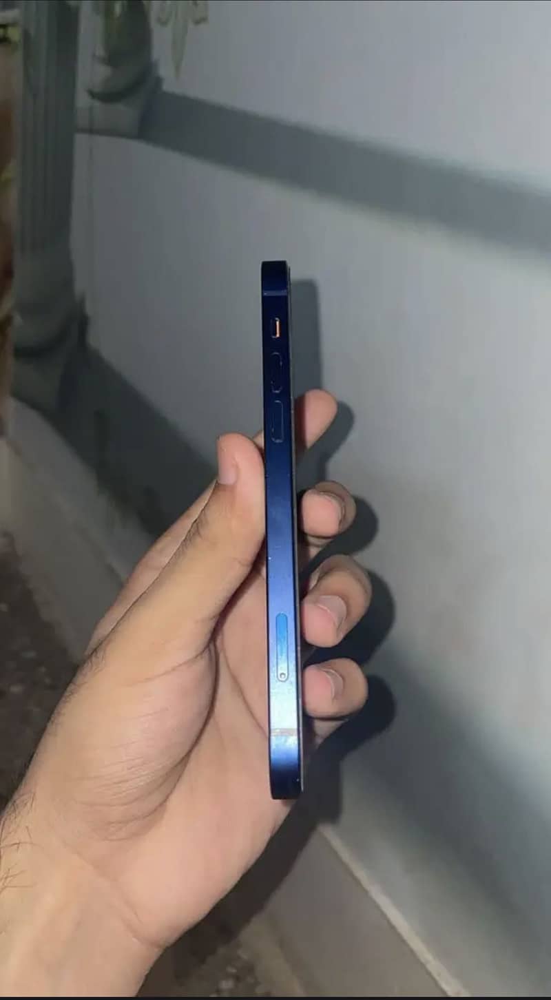 Apple iPhone 12 1
