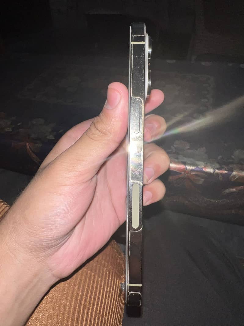 Apple iPhone 14 Pro Max 1