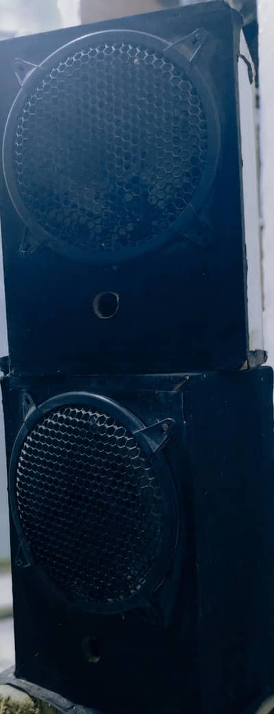Dual Speakers with Box