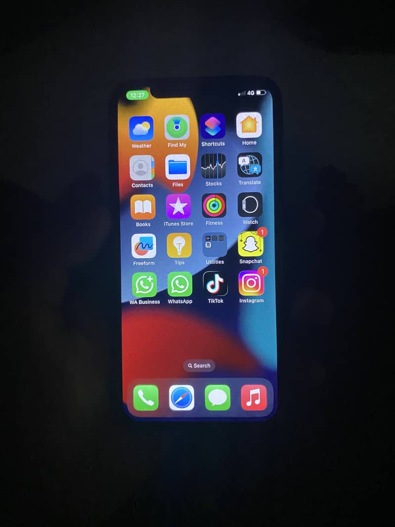 Apple iPhone X 1