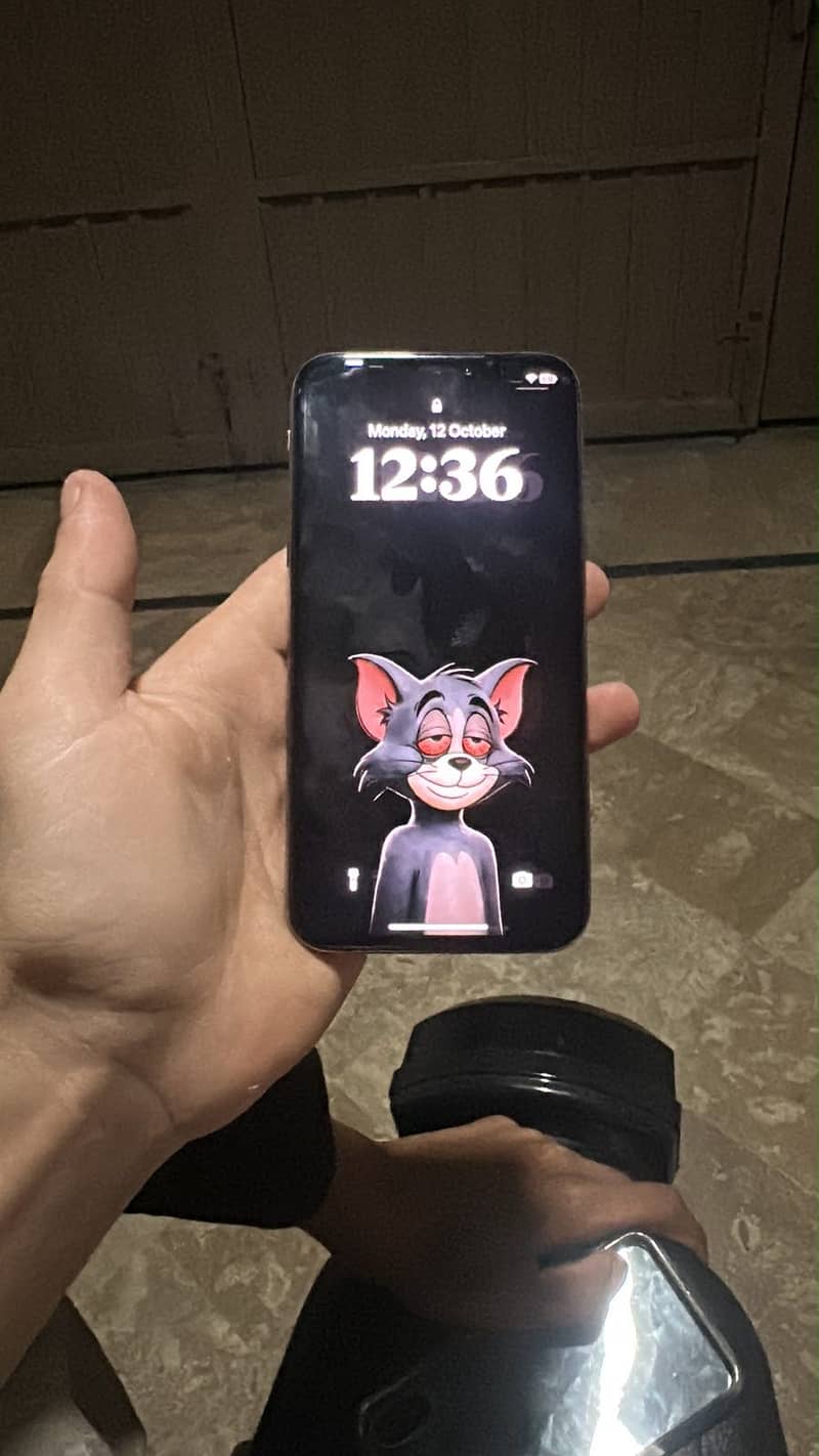 Apple iPhone XS 1