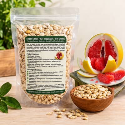 Sweet Citrus Fruit Tree Seeds 500 Grams