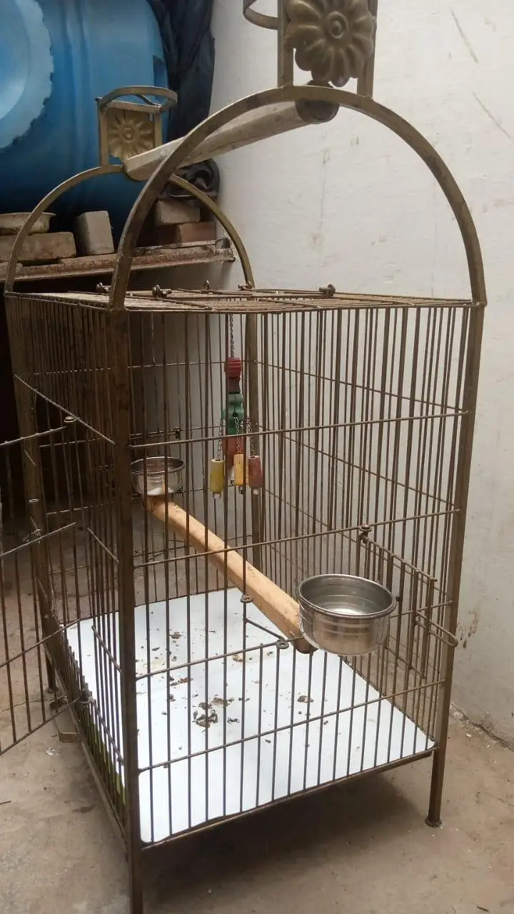 Heavy Iron Parrot Cage - Raw Pahari — photo 2