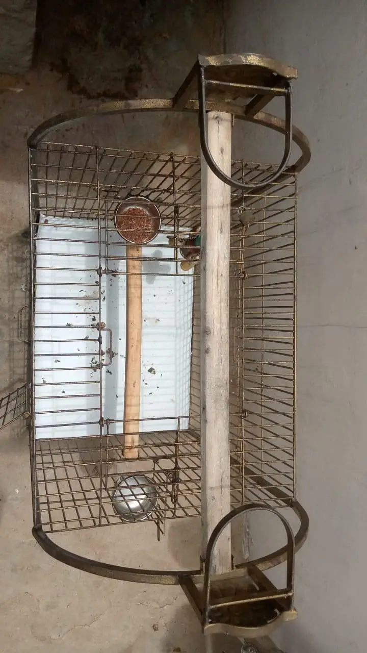 Heavy Iron Parrot Cage - Raw Pahari — photo 3