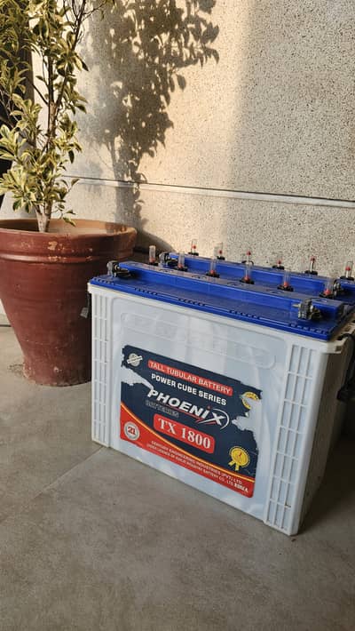 2 Phoenix TX-1800 Tall Tubular Batteries – 185Ah – 12V