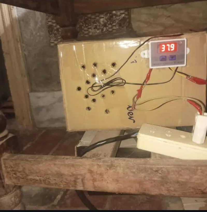 Incubator 1