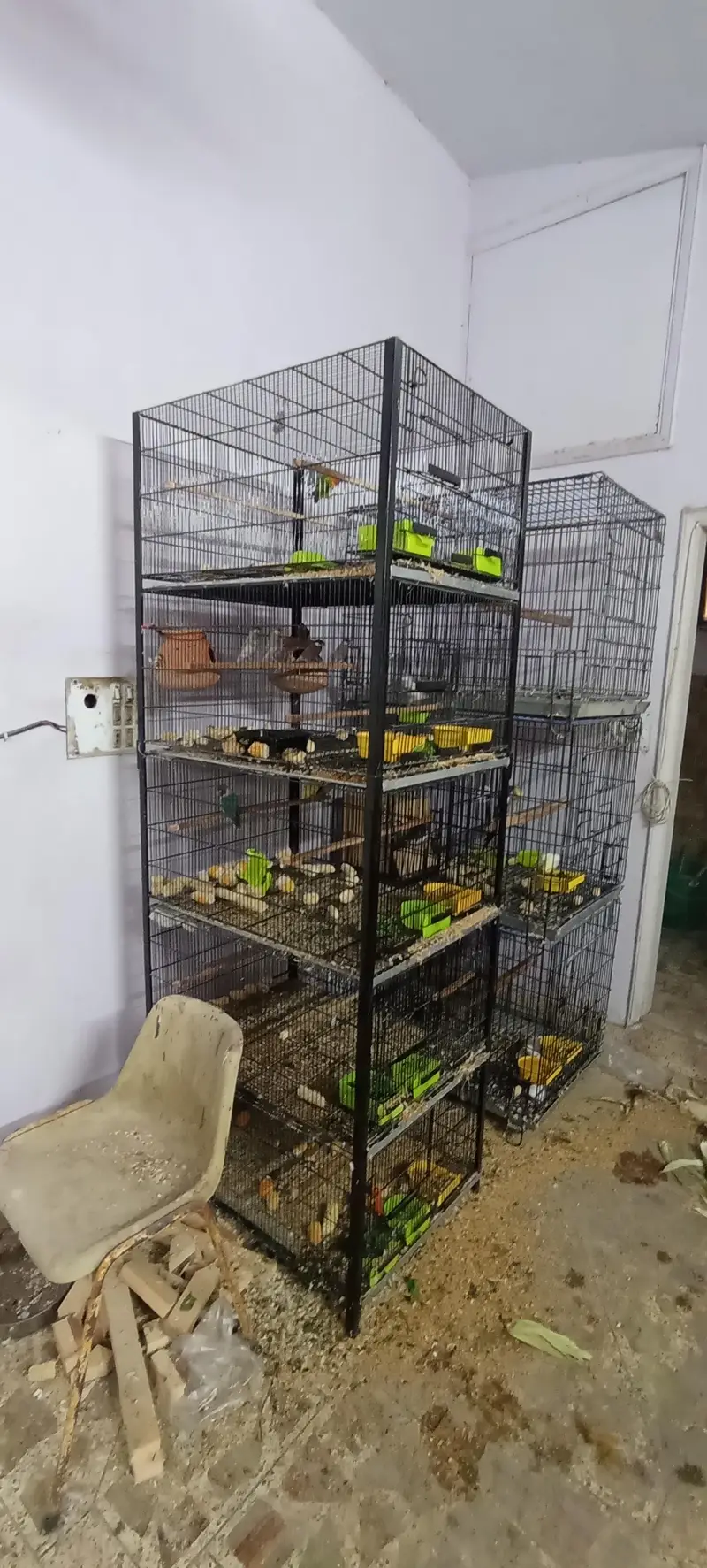Heavy Duty Iron Cage for Sale – 5 Portion, Slightly Used | Karachi