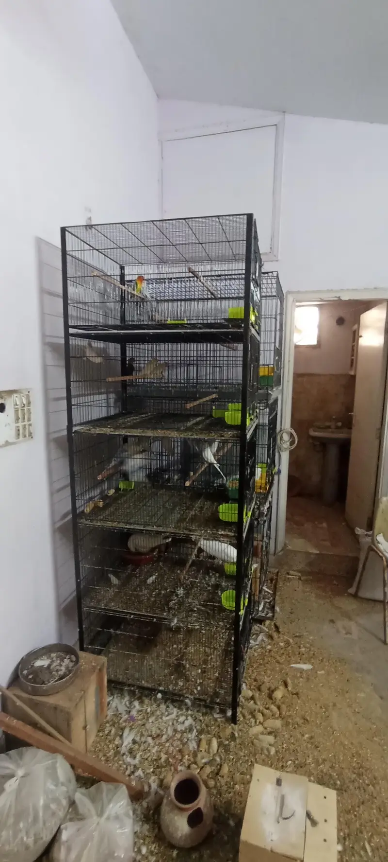 Heavy Duty Iron Cage for Sale – 5 Portion, Slightly Used | Karachi — photo 2