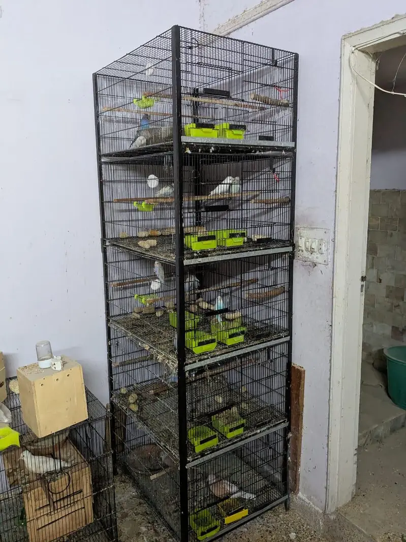 Heavy Duty Iron Cage for Sale – 5 Portion, Slightly Used | Karachi — photo 3