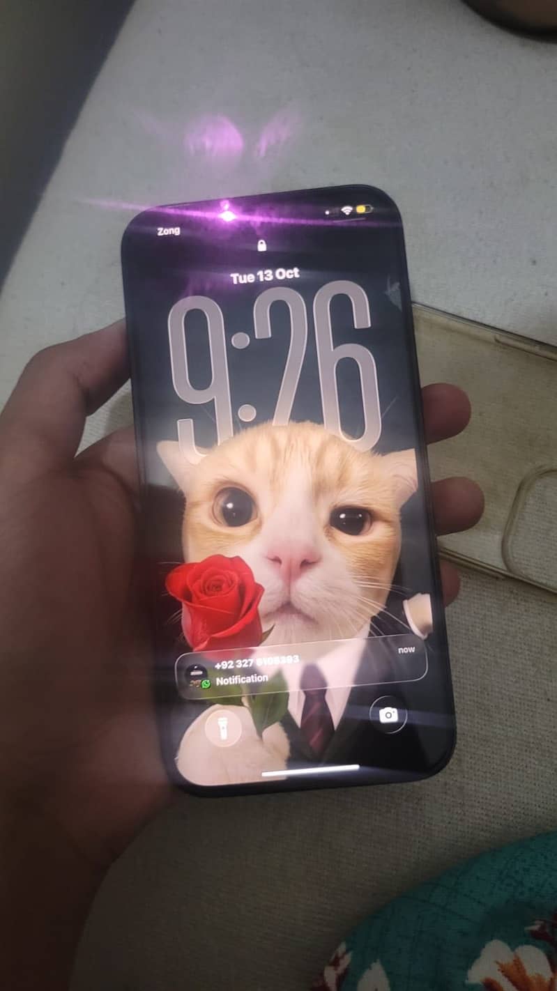 Apple iPhone 12 Pro Max 2