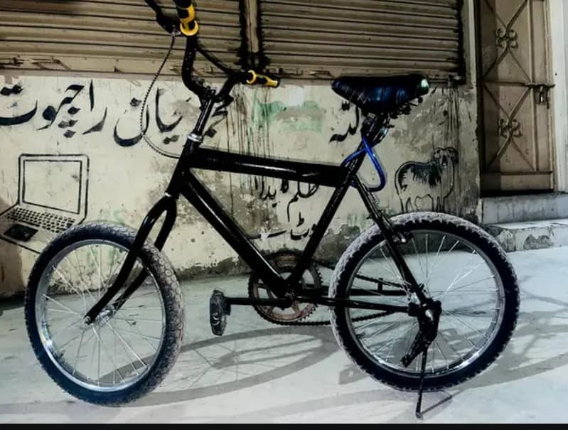 Bicycle 0