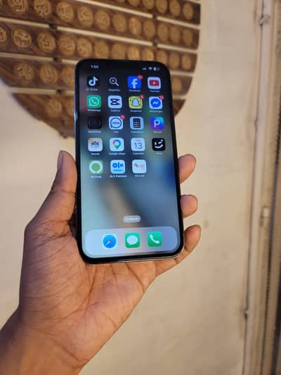 Apple iPhone 13 Pro Max