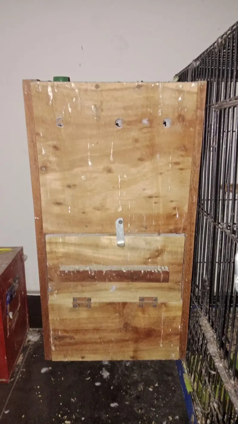 raw box