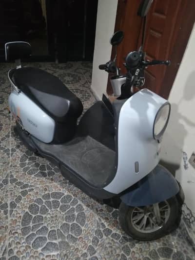 evee nisa 2025 model 10/10