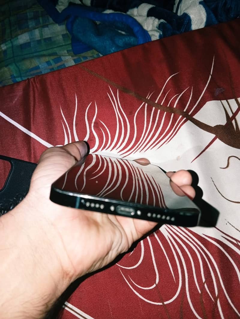 Apple iPhone 12 Pro Max 0