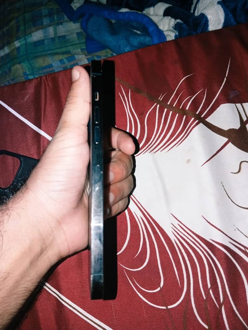 Apple iPhone 12 Pro Max 1