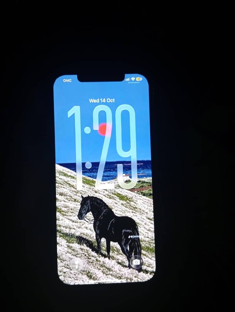Apple iPhone 12 Pro Max 3