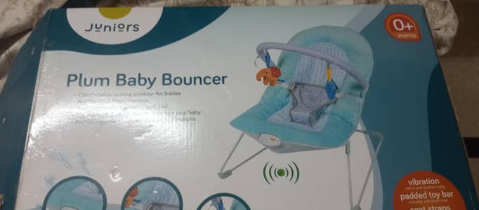 Baby Bouncer