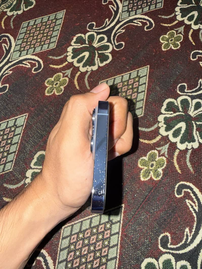 Apple iPhone 13 Pro Max 3