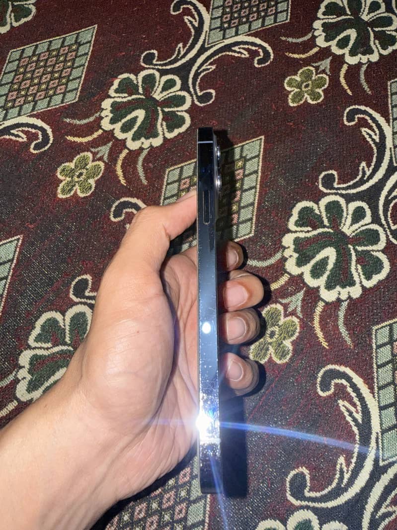 Apple iPhone 13 Pro Max 5
