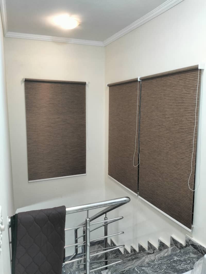 window blinds 2