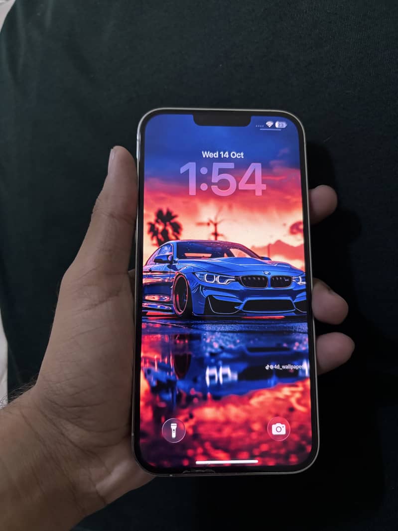 Apple iPhone 13 Pro Max 1