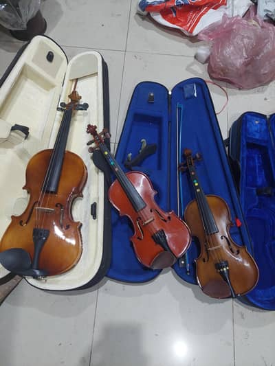 violins with case (5 violins in different prices)