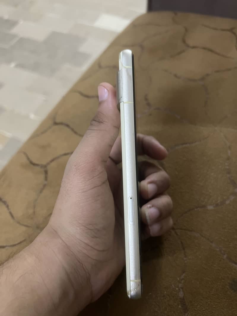 Google Pixel 7 Official 4