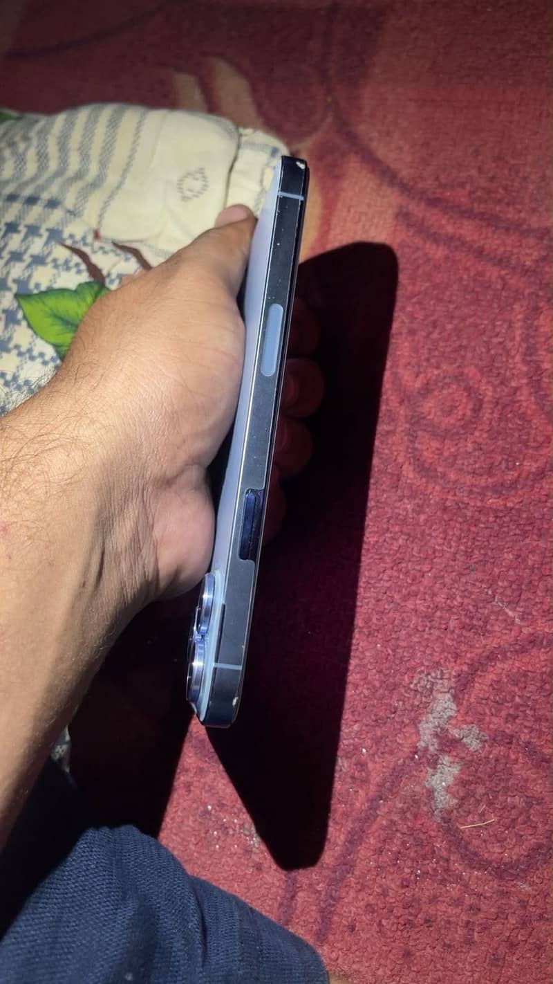 Apple iPhone 13 Pro Max 3