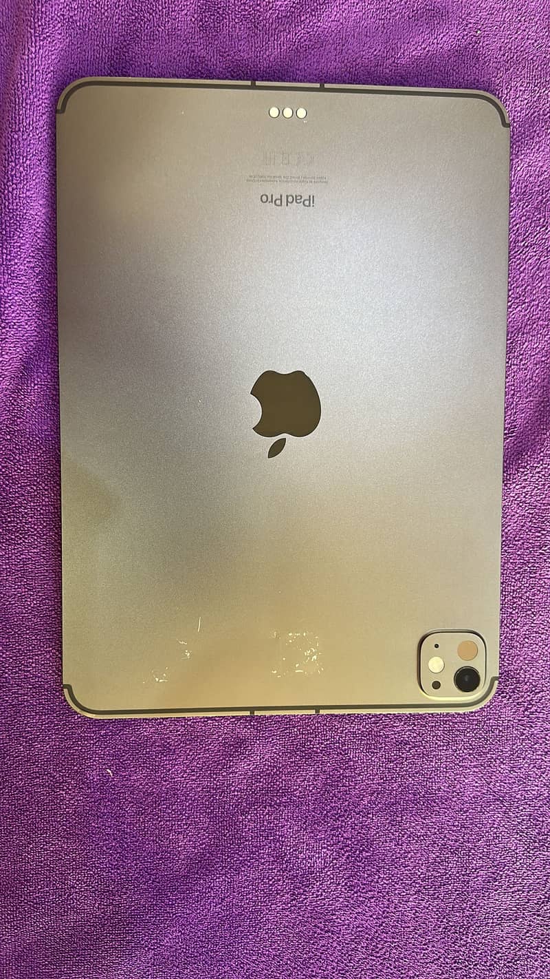 iPad pro 11 inch M4 cellular 1